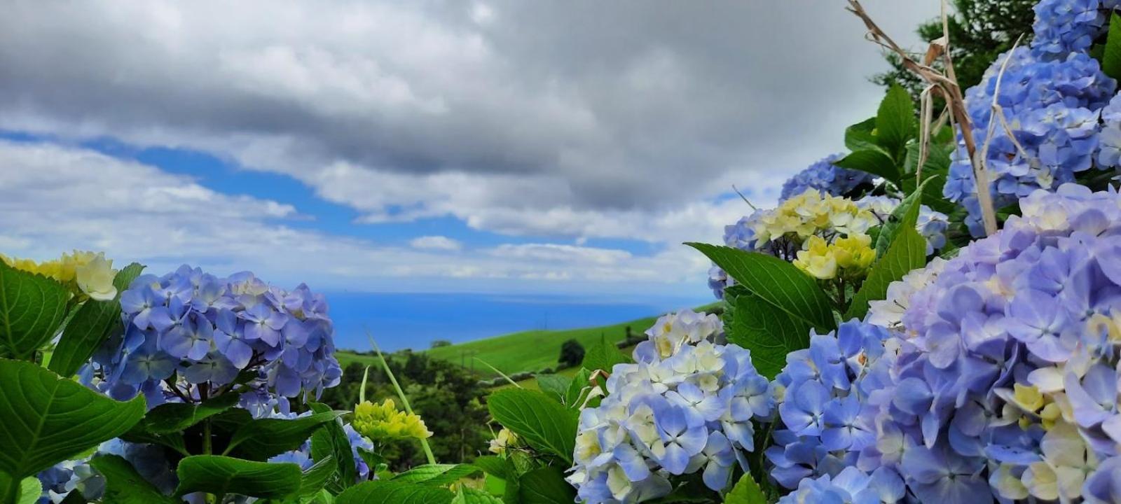 Quinta Da Espadana Povoacao  Εξωτερικό φωτογραφία